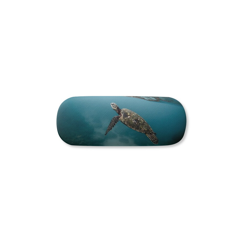 Diythinker Ocean Sea Turtle Science Nature Picture Glasses Case Eyeglasses Hard Shell Storage Spectacle Box