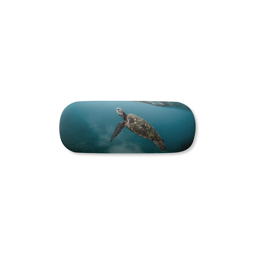 Diythinker Ocean Sea Turtle Science Nature Glasses Case Eyeglasses Hard Shell Storage Spectacle Box