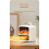 Indoor portable energy-saving heater for domestic use 3