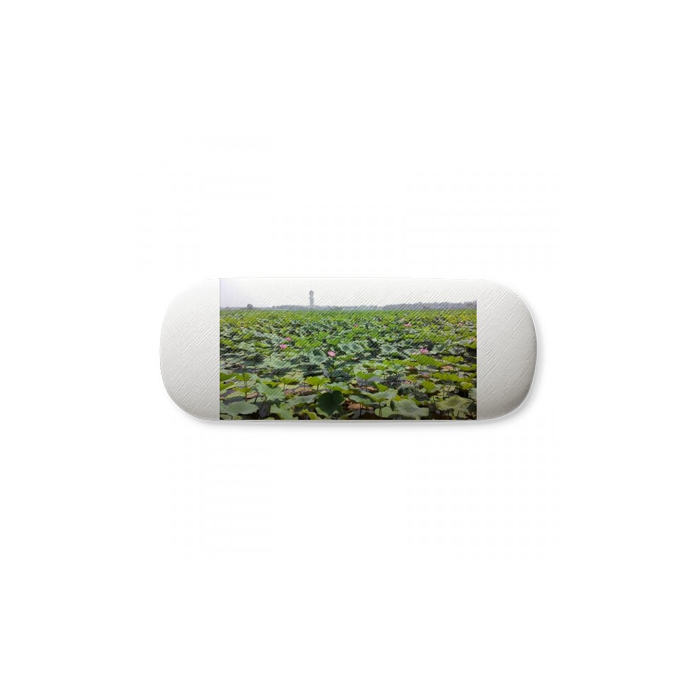 Diythinker A Lotus Pond Art Deco Fashion Glasses Case Eyeglasses Hard Shell Storage Spectacle Box