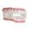 Secure Comfort Teeth Grinding Guard for Moderate Grinders. 2