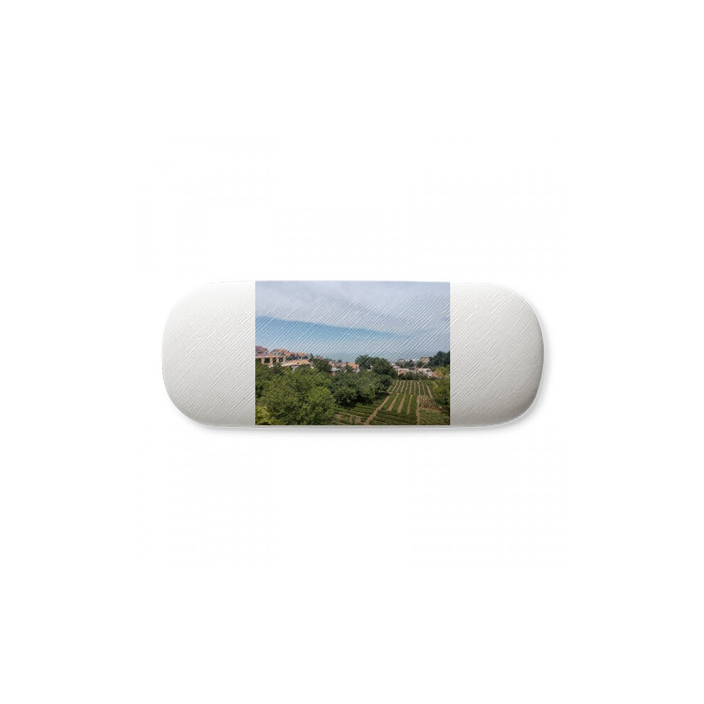 Diythinker Country Pastoral House Art Deco Fashion Glasses Case Eyeglasses Hard Shell Storage Spectacle Box