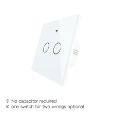 (2 Gang White) EU Wall Touch 250V 50/60Hz Smart Light Switch for Neutral Wire/No Neutral Wire No Capacitor Works with Alexa Google Hub Required