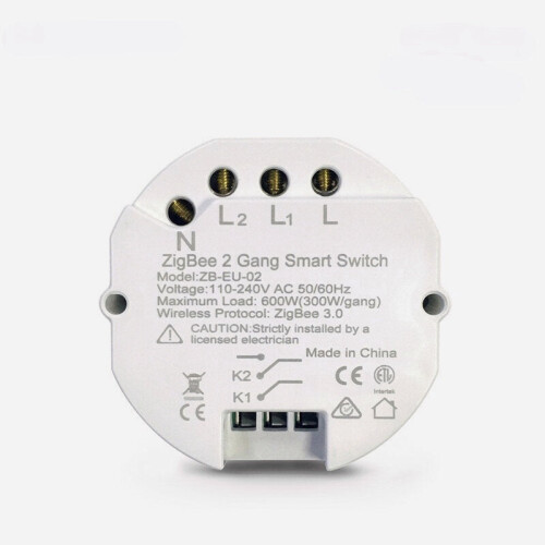 (2 Way) Remote Control 1/2 Way Switch DIY Smart Light With Alexa Google Home
