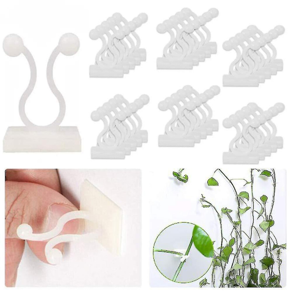 Huafei 100 Pieces Plant Climbing Wall Fixture Clips Vine Plant Climbing Plant Support Clips Wall Vines Fixture For Gardening