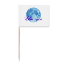 Abnormal Common Knowledge English Language Culture Toothpick Flags Marker Topper Party Decoration