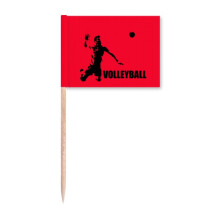 American Sports Volleyball Toothpick Flags Marker Topper Party Decoration