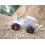 DIY Tractor Aluminous Smart RC Robot Car Chassis Base Kit 9