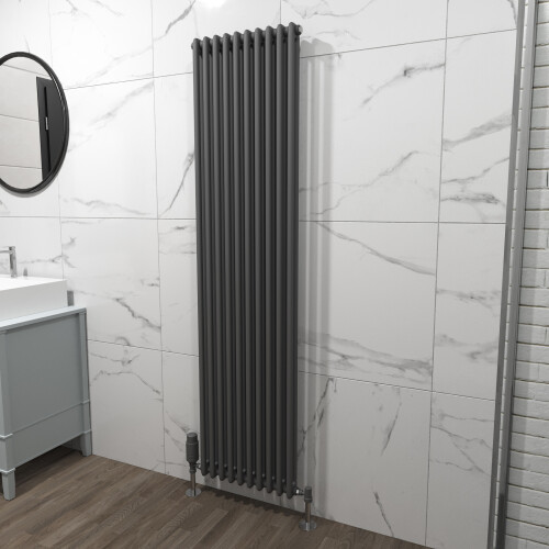 NES Home Nes Home 1800 X 470 mm Double Column  Anthracite Radiator 1