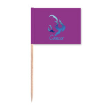 Cancer Designs Icon Art Deco Fashion Toothpick Flags Marker Topper Party Decoration
