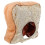 Toast Bread Hat Warm Bread Diy Selfie Props Plush Hat Costume Accessory 1