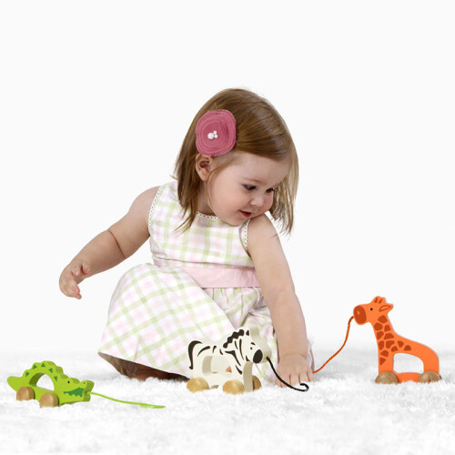 Hape International Giraffe 2