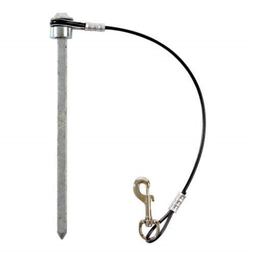 BSN Pointe avec cordon de c   ble