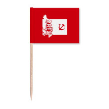 China Red Educational Publicity Life Toothpick Flags Marker Topper Party Decoration