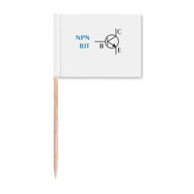 Circuit Physical Switching Power Supply Toothpick Flags Marker Topper Party Decoration
