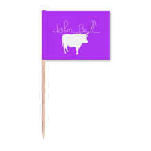 Common Knowledge English Language Culture Toothpick Flags Marker Topper Party Decoration