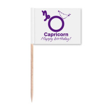Constellation Fate Birthday Celebration Capricorn Toothpick Flags Marker Topper Party Decoration