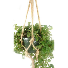 Supporto per piante in corda annodata naturale 36"