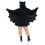 Moonlight Bat heeft ultra- 2