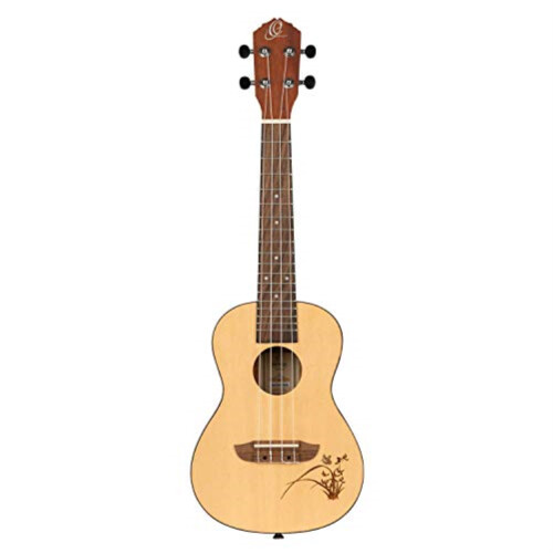 Bonfire Series koncert ukulele 2