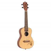 Bonfire Series koncert ukulele