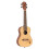 Bonfire Series koncert ukulele 1