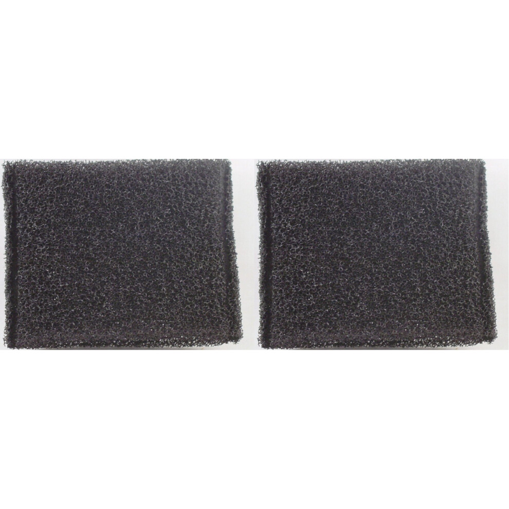 Hoover STEAM VAC Filter (2 Pack)