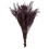 14-18"""" Violet Stoebe 5oz Bundle 1