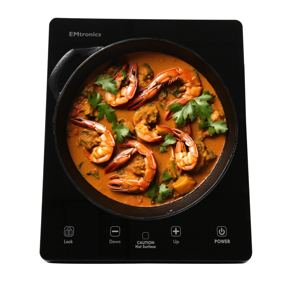 (Black, Single) EMtronics Counter Top Induction Hob - Black