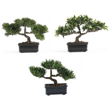 Bijna natuurlijk 12 inch. Bonsai Zijdeplantencollectie (set van 3)
