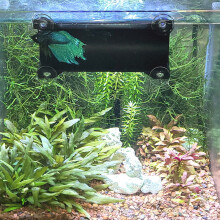 Tunnel Betta SeeShelter (Noir Opaque)