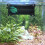 Tunnel Betta SeeShelter (Noir Opaque) 1
