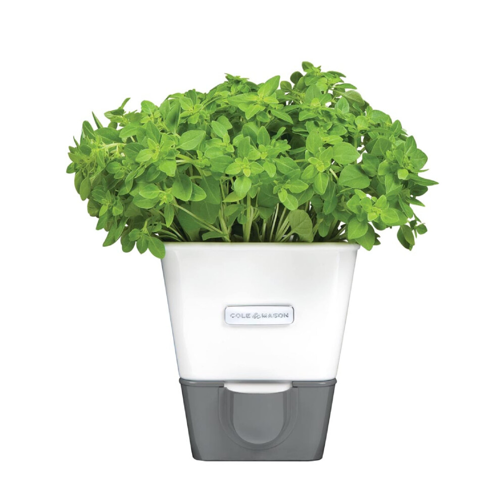 Cole & Mason Self-Watering Potted Herb Keeper