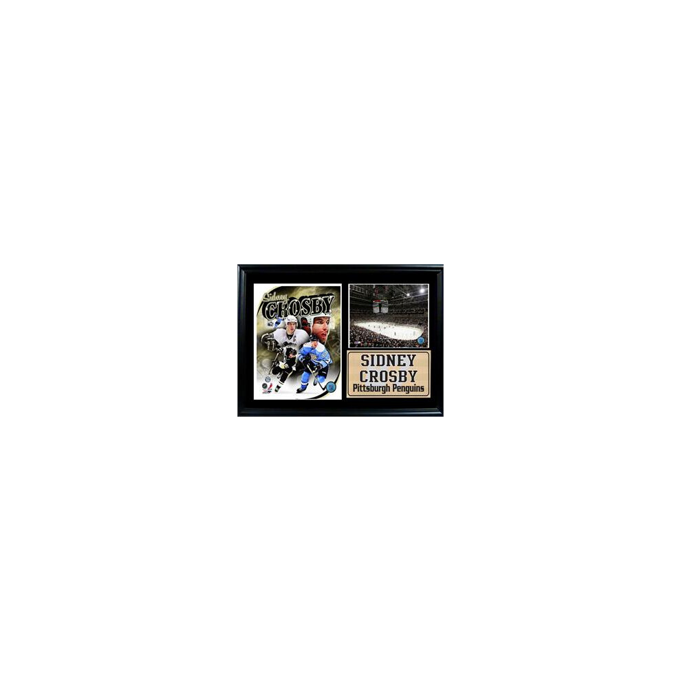 12x18 Photo Stat Frame - Sidney Crosby Pittsburgh Penguins