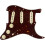 Fender Fender Texas Special Prewired Stratocaster Pickguard - Tortoise 1
