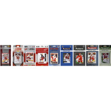 NHL Detroit Red Wings 9 verschillende gelicentieerde ruilkaartenteamsets