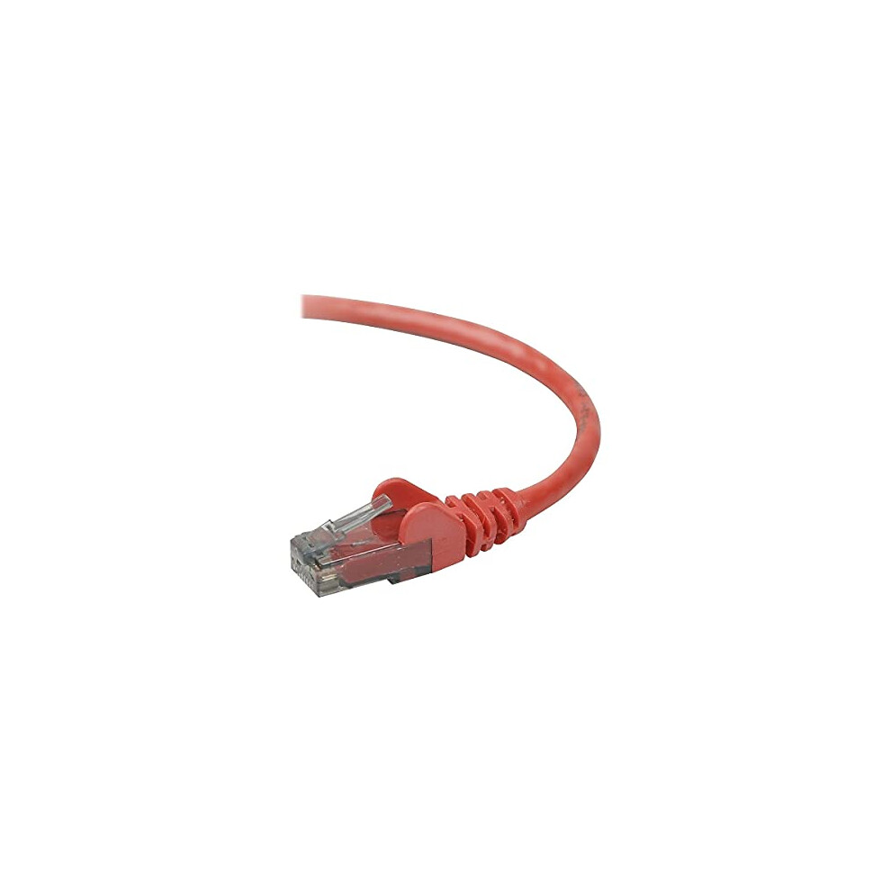 Belkin CAT6 Patch Cable  RJ45 M/m  7  Red  Snagless  Bag and Label