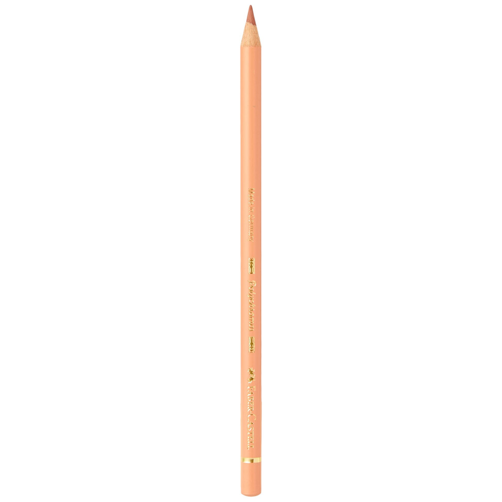 Faber-Castell Polychromos Artists' Single Pencil - Colour 189 Cinnamon