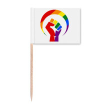 Gender Differences Around Rainbow Equality Toothpick Flags Marker Topper Party Decoration