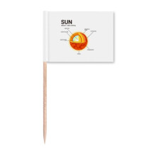 Geography Science Popularization Solar Level Toothpick Flags Marker Topper Party Decoration