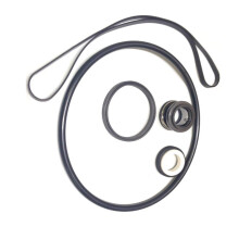 Pool Pump O-Ring Dichtungsreparaturset für Hayward(R) Super II Pumpenserie 3000X