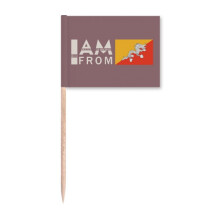 I Am From Bhutan Art Deco  Fashion Toothpick Flags Marker Topper Party Decoration