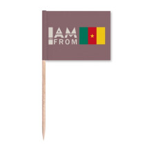 I Am From Cameroon Art Deco Fashion Toothpick Flags Marker Topper Party Decoration