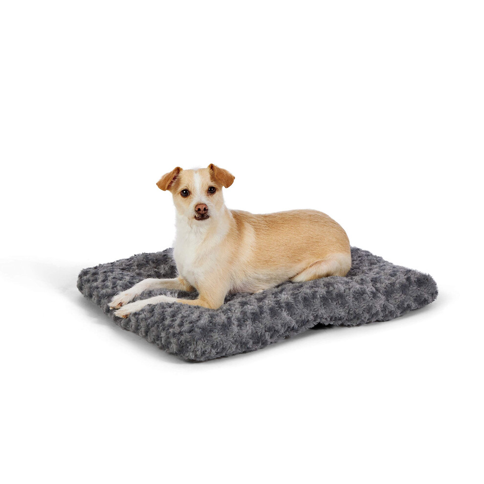 Amazon Basics Plush Pet Bed and Dog Crate Pad  X-Small  23 x 18 x 2.5
