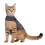 Thundershirt Classic Cat Anxiety Jacket  Heather Gray  Medium (9 to 13 1