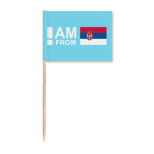 I Am From Serbia Art Deco  Fashion Toothpick Flags Marker Topper Party Decoration