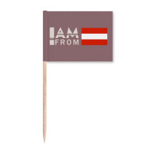 I Am From Austria Art Deco  Fashion Toothpick Flags Marker Topper Party Decoration