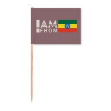 I Am From Ethiopia Art Deco Fashion Toothpick Flags Marker Topper Party Decoration
