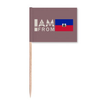 I Am From Haiti Art Deco  Fashion Toothpick Flags Marker Topper Party Decoration