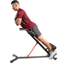Sunny Health & Fitness Hyperextension Roman Chair with Dip Station - S